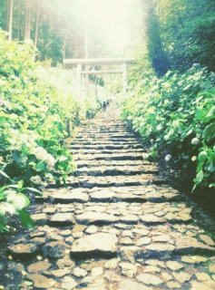 摜͊֌WȂI