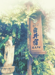 (untitled)
