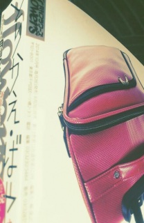 Casc