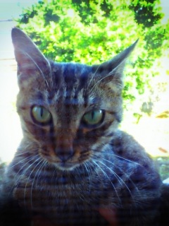 New face