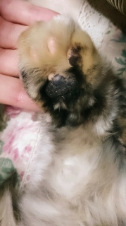 ɂB
