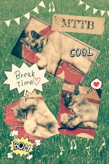 }^^rtB[o[