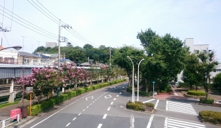 낤