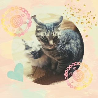 Ȋ֌W