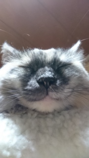 ǁ[