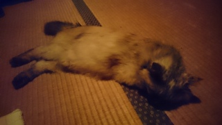 ~̂ǐ^w