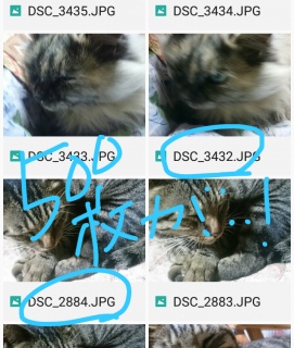 \cI