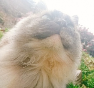 @y`ۂw