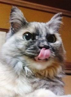 Ɖ