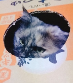 ̔
